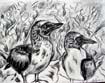 a_boobies drawing