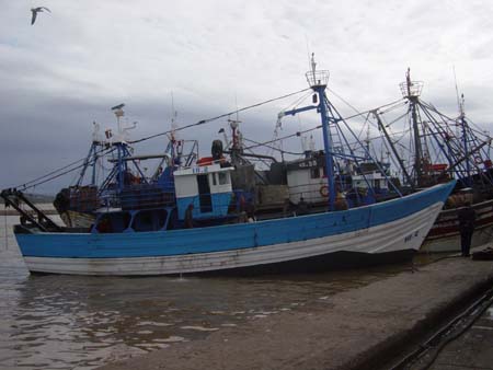 DSC04605