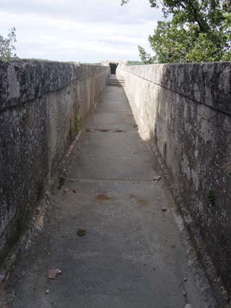 DSC03663