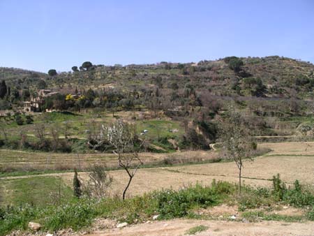 IMGP0424