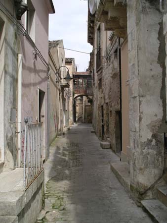 IMGP0478